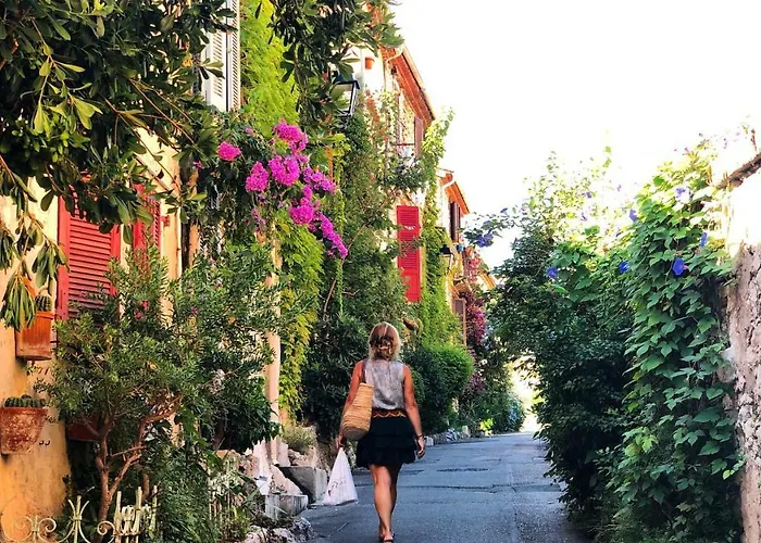 Le Ponteil 2* Αντίμπ
